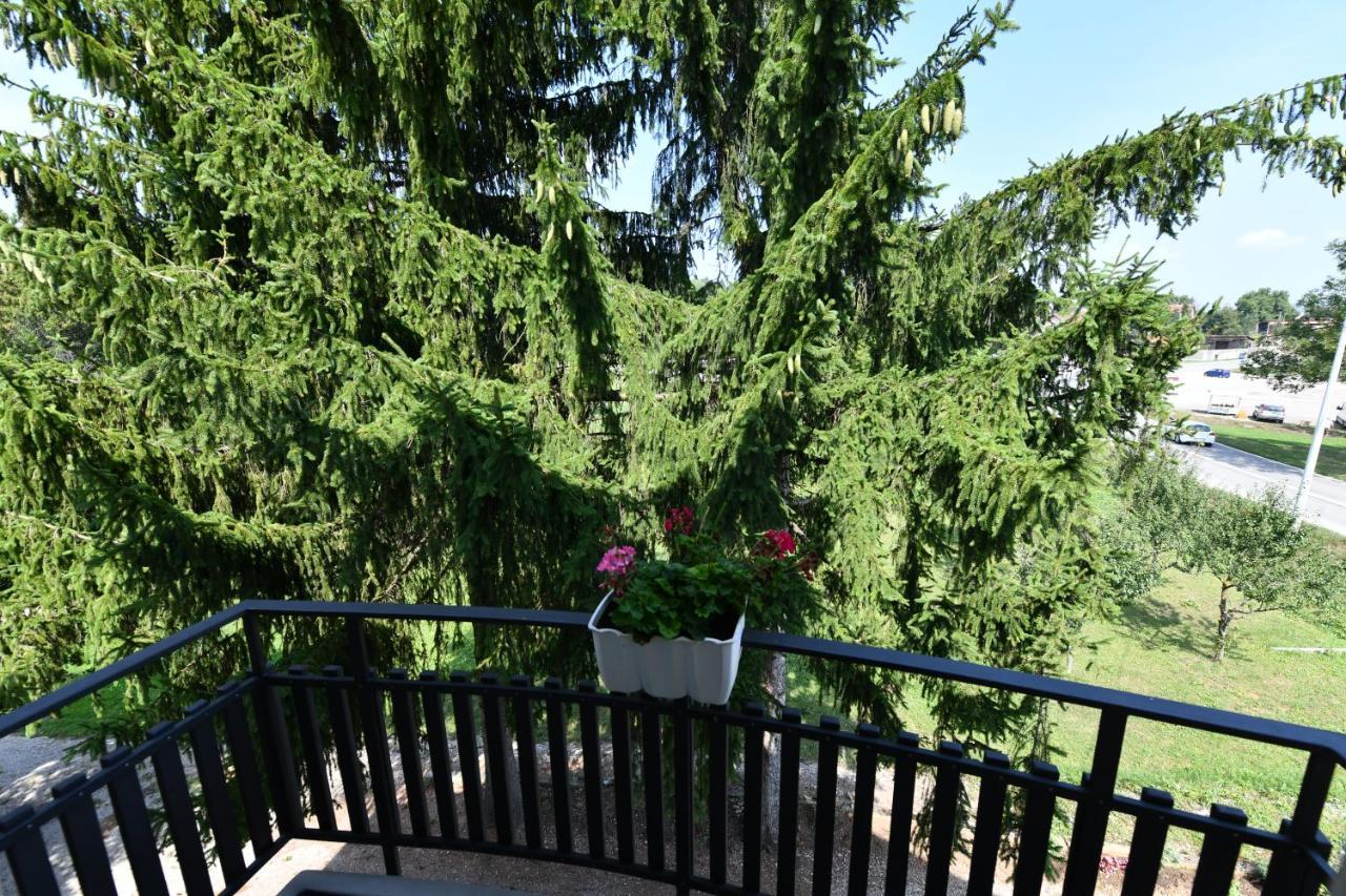 Apartmani Zagi Rakovica Exterior photo